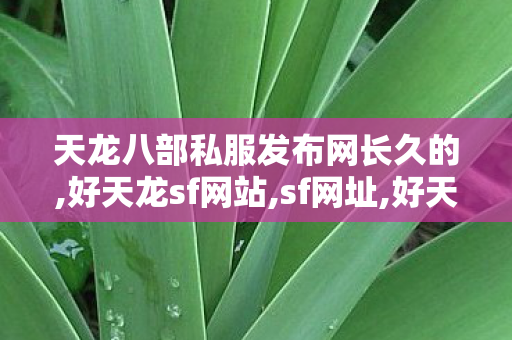 天龙八部私服发布网长久的,好天龙sf网站,sf网址,好天龙sf网站