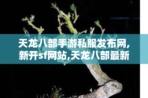 天龙八部手游私服发布网,新开sf网站,天龙八部最新sf发网站,新开sf网站