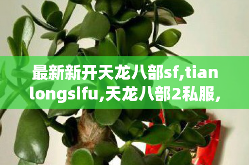 最新新开天龙八部sf,tianlongsifu,天龙八部2私服,tianlongsifu