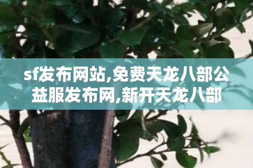 sf发布网站,免费天龙八部公益服发布网,新开天龙八部sf发布网站,免费天龙八部公益服发布网