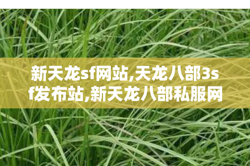 新天龙sf网站,天龙八部3sf发布站,新天龙八部私服网站,天龙八部3sf发布站