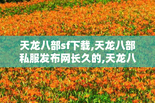天龙八部sf下载,天龙八部私服发布网长久的,天龙八部长久服发布网,天龙八部私服发布网长久的