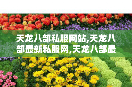 天龙八部私服网站,天龙八部最新私服网,天龙八部最新开服,天龙八部最新私服网