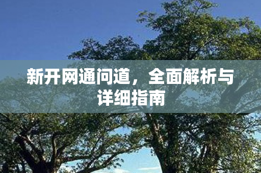 新开网通问道，全面解析与详细指南