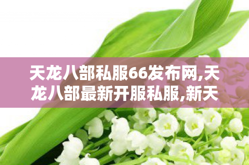 天龙八部私服66发布网,天龙八部最新开服私服,新天龙私服网,天龙八部最新开服私服