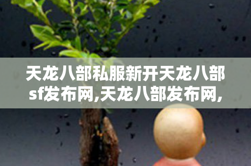 天龙八部私服新开天龙八部sf发布网,天龙八部发布网,2019天龙八部sf发布网站,天龙八部发布网