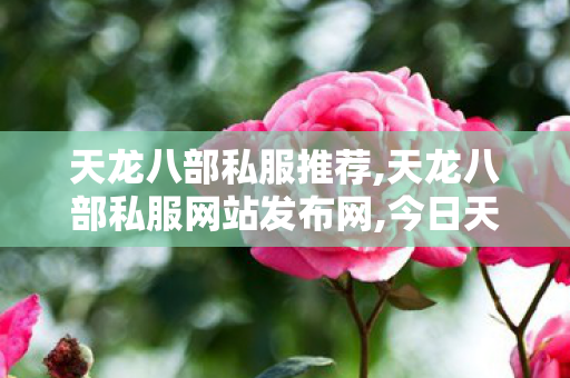 天龙八部私服推荐,天龙八部私服网站发布网,今日天龙八部sf,天龙八部私服网站发布网