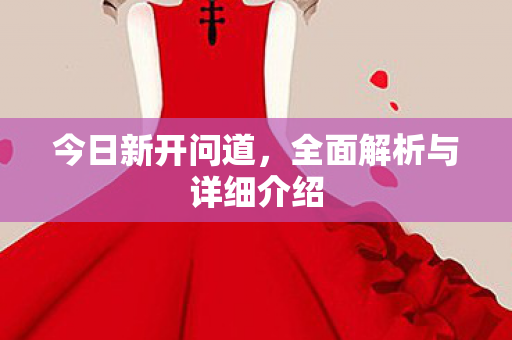 今日新开问道，全面解析与详细介绍