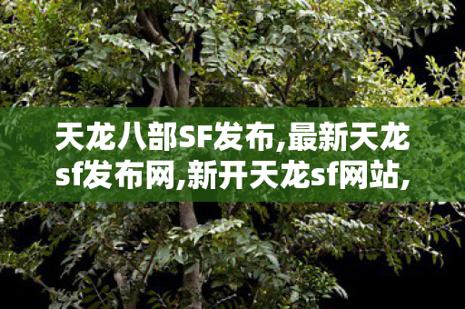 天龙八部SF发布,最新天龙sf发布网,新开天龙sf网站,最新天龙sf发布网