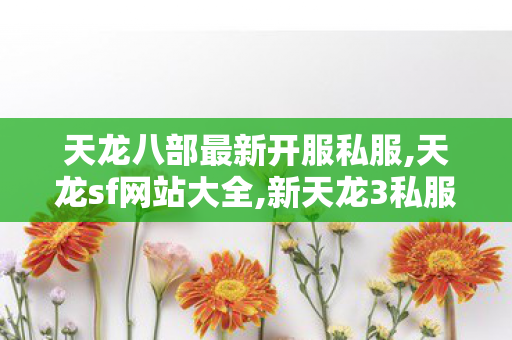 天龙八部最新开服私服,天龙sf网站大全,新天龙3私服,天龙sf网站大全