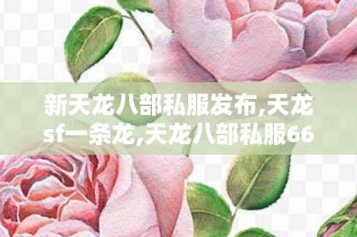 新天龙八部私服发布,天龙sf一条龙,天龙八部私服66发布网,天龙sf一条龙