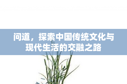 问道，探索中国传统文化与现代生活的交融之路