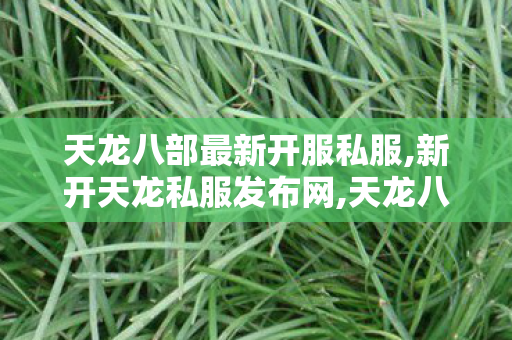 天龙八部最新开服私服,新开天龙私服发布网,天龙八部私服被盗,新开天龙私服发布网