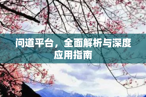问道平台，全面解析与深度应用指南