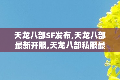 天龙八部SF发布,天龙八部最新开服,天龙八部私服最新开服,天龙八部最新开服