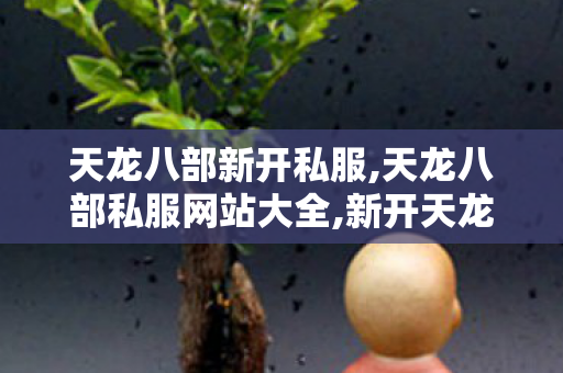 天龙八部新开私服,天龙八部私服网站大全,新开天龙sf发布,天龙八部私服网站大全