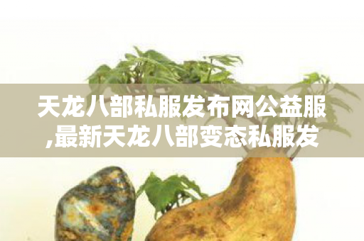 天龙八部私服发布网公益服,最新天龙八部变态私服发布网,521天龙八部发布网,最新天龙八部变态私服发布网