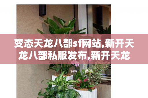 变态天龙八部sf网站,新开天龙八部私服发布,新开天龙八部私服,新开天龙八部私服发布