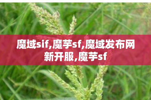 魔域sif,魔芋sf,魔域发布网新开服,魔芋sf