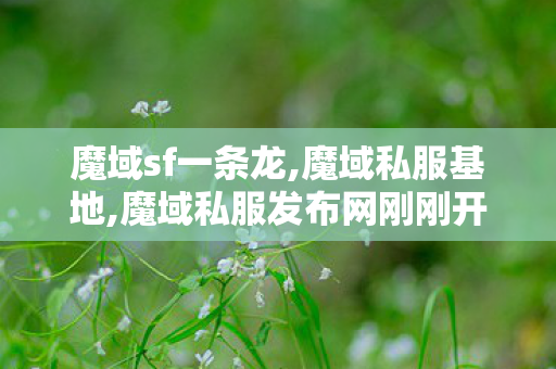 魔域sf一条龙,魔域私服基地,魔域私服发布网刚刚开一秒,魔域私服基地