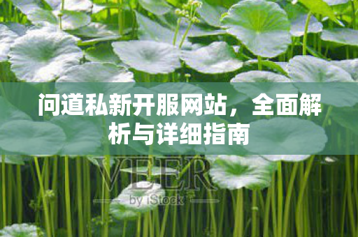 问道私新开服网站，全面解析与详细指南