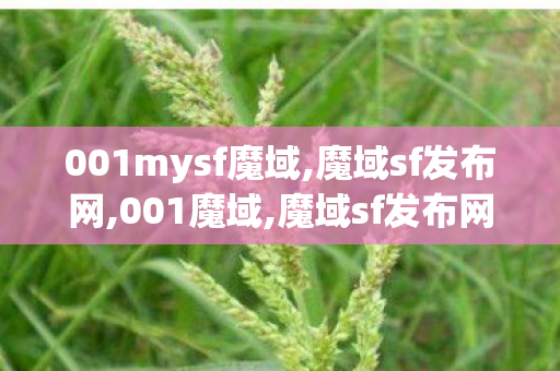 001mysf魔域,魔域sf发布网,001魔域,魔域sf发布网