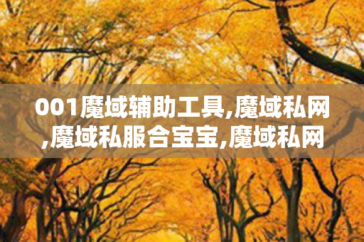 001魔域辅助工具,魔域私网,魔域私服合宝宝,魔域私网