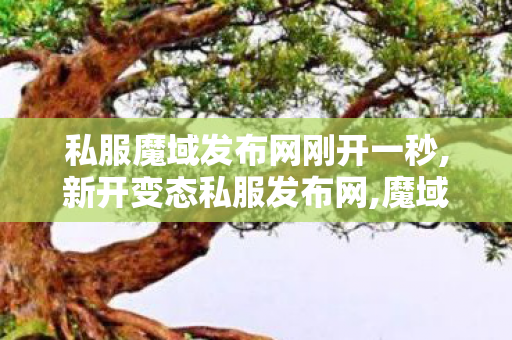 私服魔域发布网刚开一秒,新开变态私服发布网,魔域私服发布网站,新开变态私服发布网