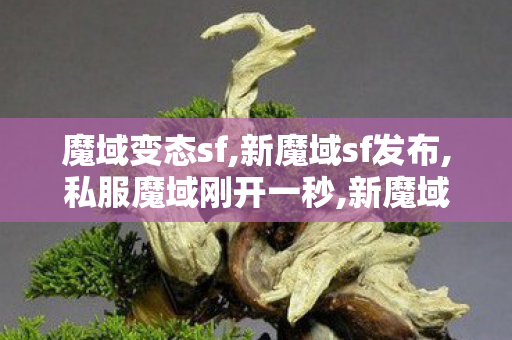 魔域变态sf,新魔域sf发布,私服魔域刚开一秒,新魔域sf发布