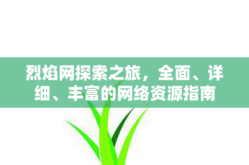烈焰网探索之旅，全面、详细、丰富的网络资源指南