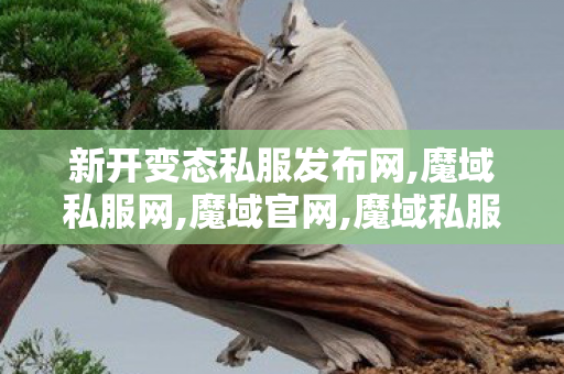 新开变态私服发布网,魔域私服网,魔域官网,魔域私服网