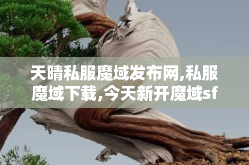 天晴私服魔域发布网,私服魔域下载,今天新开魔域sf,私服魔域下载