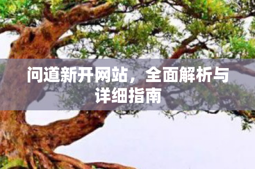 问道新开网站，全面解析与详细指南
