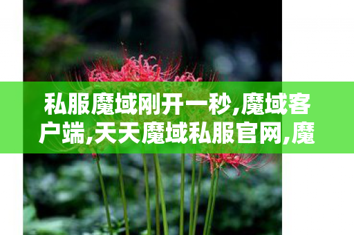 私服魔域刚开一秒,魔域客户端,天天魔域私服官网,魔域客户端