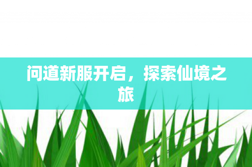 问道新服开启，探索仙境之旅