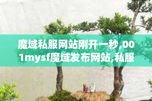 魔域私服网站刚开一秒,001mysf魔域发布网站,私服魔域发布网刚开一秒,001mysf魔域发布网站
