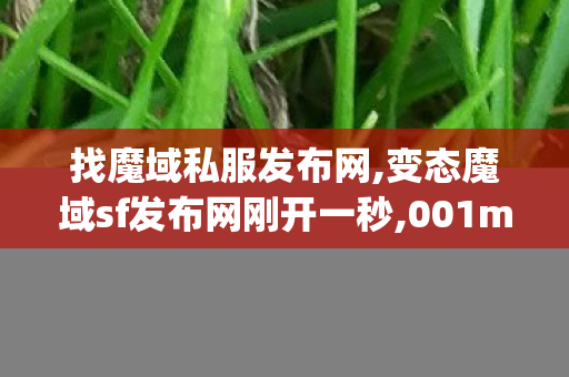 找魔域私服发布网,变态魔域sf发布网刚开一秒,001mysf魔域发布网站,变态魔域sf发布网刚开一秒