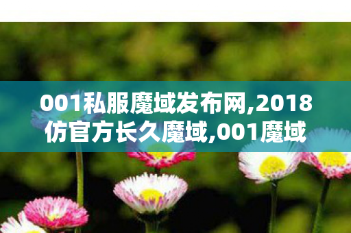 001私服魔域发布网,2018仿官方长久魔域,001魔域,2018仿官方长久魔域