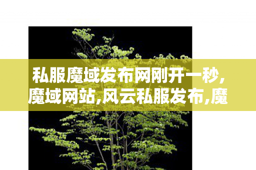私服魔域发布网刚开一秒,魔域网站,风云私服发布,魔域网站