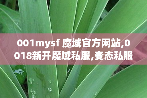 001mysf 魔域官方网站,0018新开魔域私服,变态私服魔域,0018新开魔域私服