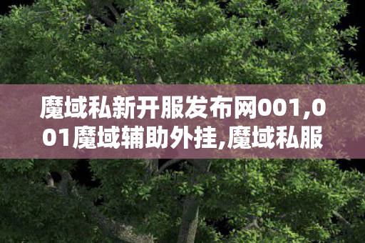 魔域私新开服发布网001,001魔域辅助外挂,魔域私服发布网站,001魔域辅助外挂