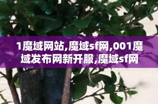 1魔域网站,魔域sf网,001魔域发布网新开服,魔域sf网