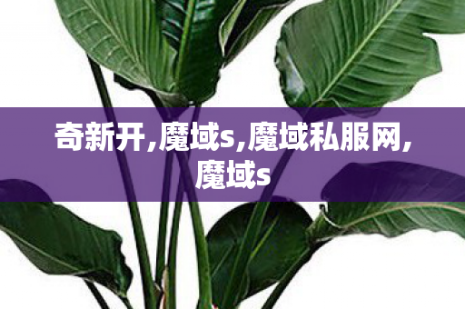 奇新开,魔域s,魔域私服网,魔域s