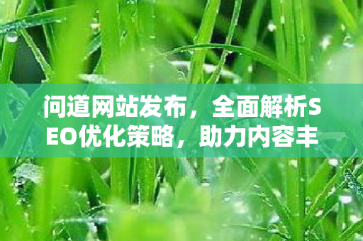 问道网站发布，全面解析SEO优化策略，助力内容丰富与详细介绍