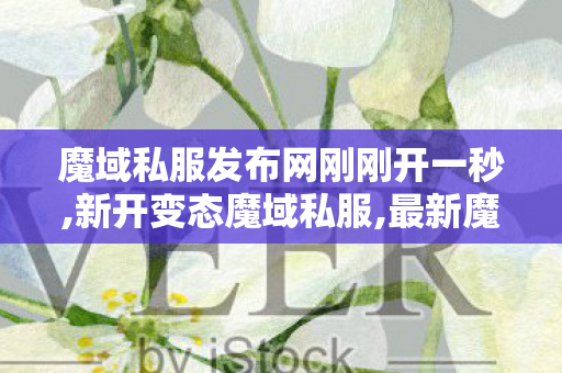 魔域私服发布网刚刚开一秒,新开变态魔域私服,最新魔域,新开变态魔域私服