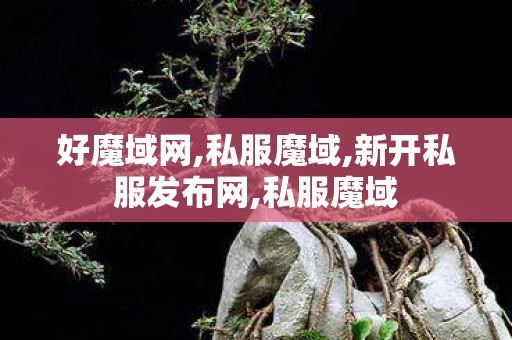 好魔域网,私服魔域,新开私服发布网,私服魔域