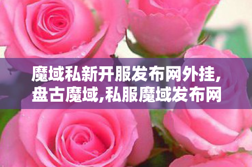 魔域私新开服发布网外挂,盘古魔域,私服魔域发布网站,盘古魔域