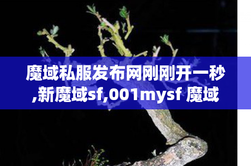 魔域私服发布网刚刚开一秒,新魔域sf,001mysf 魔域官方网站,新魔域sf
