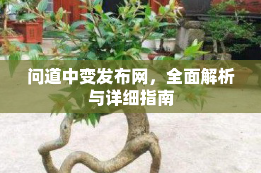 问道中变发布网，全面解析与详细指南