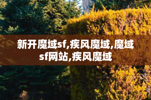 新开魔域sf,疾风魔域,魔域sf网站,疾风魔域